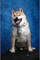 UrcTepics 8x10ft Dark Blue Senior Portrait Backdrop — image 5