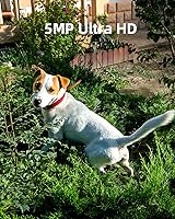 Noorio B210 Security Camera — image 2