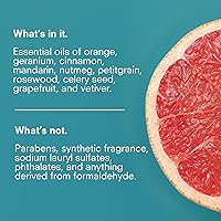 Public Goods Hand Soap 34 Fl Oz Refill — image 3