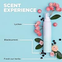 Design.Me QUICKIE.ME Dry Shampoo Foam 3.21oz — image 4