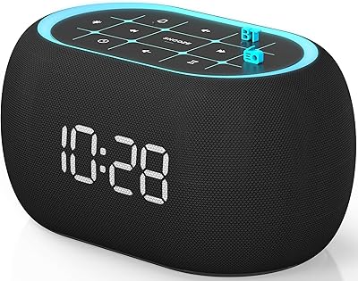 ANJANK AC209F Alarm Clock FM Radio with Bluetooth Speaker