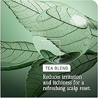 Biolage Scalp Sync Universal Conditioner 33.8oz — image 6