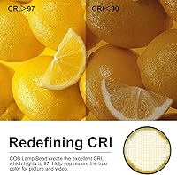 GVM 300W COB LED Video Light Kit — image 3