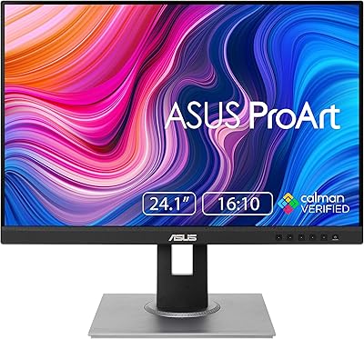 ASUS ProArt Display PA248QV 24.1” Monitor