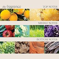 L'ANZA Healing ColorCare Clarifying Shampoo 10.1 Fl Oz — image 7