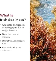 Love Ur Curls Irish Sea Moss Hair Gel 236mL — image 7