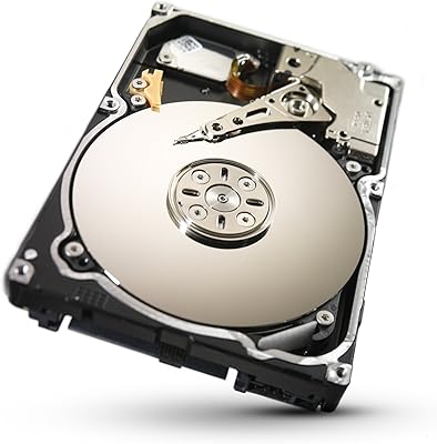 Seagate 1TB Constellation ST91000640NS 2.5-Inch SATA HDD