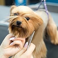 Chris Christensen 5in Face and Feet Buttercomb — image 4