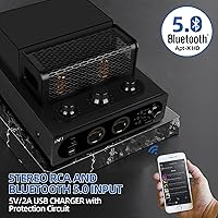 INFI Audio Hybrid Class AB Tube Amplifier 6N3 Power Amp — image 8