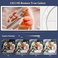 SH 19-inch LED Ring Light with 8ft Stand and 3 Phone Holders — image 8