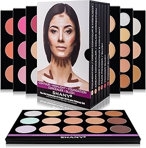 SHANY The Mini Masterpiece 6 Layer Makeup Set Review