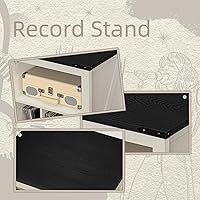 Joaxswe Record Player Stand with Vinyl Record Storage — image 6