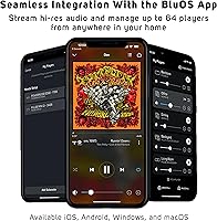 Bluesound Node ICON — image 5