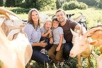 Little Seed Farm Balancing Facial Mist & Toner 4 fl oz — image 9