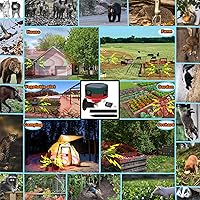 Anizoowu Solar Outdoor Motion Sensor Alarm — image 4