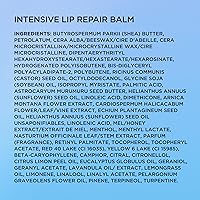 Elizabeth Arden Eight Hour Cream Intensive Lip Repair Balm 0.35oz — image 11