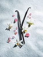 Juliette Has A Gun Vanilla Vibes Eau De Parfum 1oz — image 5