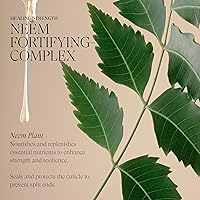 L'ANZA Healing Strength Neem Plant Silk Hair Serum 3.4 Fl Oz — image 6