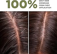 Lazartigue La Couleur Absolue Permanent Hair Color, 4.00 Chestnut — image 2