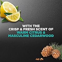 DOVE MEN + CARE Sea Salt + Citrus Body and Face Wash 18 fl oz (4 Count) — image 3