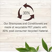 Garnier Whole Blends Ginger Recovery Strengthening Shampoo, 22oz — image 4