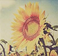 FarmHouse Fresh Sunflower Honey Butter Serum 3 Fl Oz — image 9