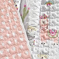 Lush Decor Southwest Llama Cactus Throw Blanket, 50″ x 60″ — image 5