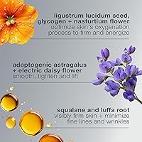 Dermalogica Phyto Nature Oxygen Cream 1.7 fl oz — image 3