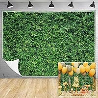 Msocio Green Leaves Backdrop 10x8ft — image 1