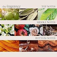 L'ANZA Healing Style Thermal Defense Spray, 6.8oz — image 6