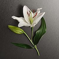 Calvin Klein Eternity Body Lotion 6.7oz — image 3