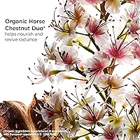 Clarins Nutri-Lumière Night Cream 50mL — image 3