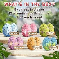 Quack Quack Moo Dinosaur Bath Bombs for Kids - 12 Pack — image 2