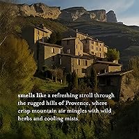 A LA MAISON Rosemary Mint Liquid Hand Soap Refill, 33.8 oz (2 Pack) — image 4