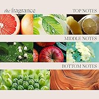 L'ANZA Healing Volume Zero Weight Gel 6.8oz — image 7