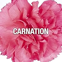 Giorgio Beverly Hills Red Perfume for Women 3.0 oz EDT Spray — image 3