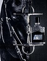 Creed Aventus Eau de Parfum 3.3oz — image 8