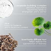 Dermalogica Stabilizing Repair Cream 1.7oz — image 7