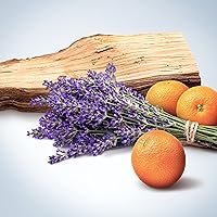 Calvin Klein Obsession All Over Body Spray for Men 5.3oz — image 2