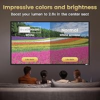 SilverMagic 120-inch Projector Screen — image 3