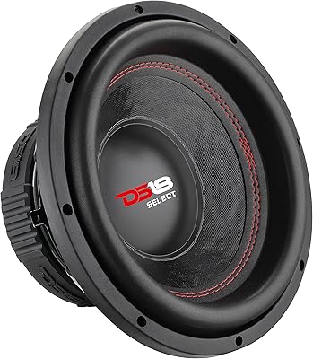 DS18 SLC10S 10-Inch Car Subwoofer