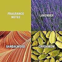 Curve for Men Fragrance Gift Set, 2.5oz Cologne, 3.4oz Aftershave & 1.7oz Deodorant — image 3