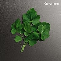 Calvin Klein Eternity For Men Aftershave 150mL — image 5