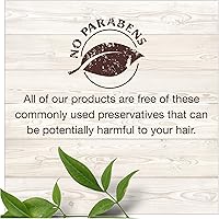 Garnier Whole Blends Ginger Recovery Strengthening Shampoo, 22oz — image 3