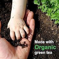 Pure Green Tea Extract for Skin and Hair – 8 fl oz — image 7