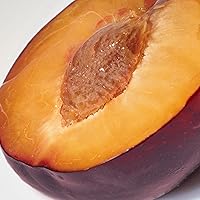 Addison Rae Fragrance Effortless 1 oz Eau De Parfum — image 5