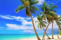 US Organic Fractionated Coconut Oil 128 oz — image 5