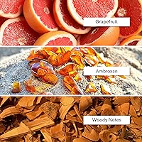 Alexandria Fragrances Black Panther Perfume 60mL — image 5