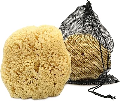 Constantia Man Real Sea Sponge for Men - Extra Large 6″-7″
