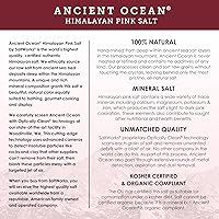SaltWorks Ancient Ocean Himalayan Pink Salt, Coarse Grain, 5 lb Bag — image 3